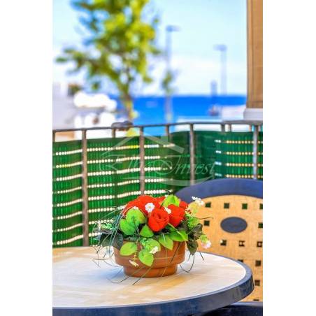 Sprzedaż - Nieruchomości - Domki - La Caleta 1