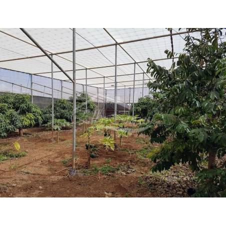 Sprzedaż - Nieruchomości - Domki - Chimiche 1