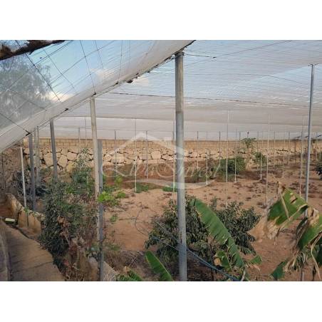 Sprzedaż - Nieruchomości - Domki - Chimiche 1