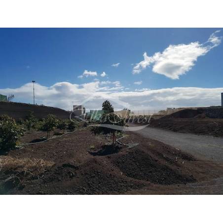 Sprzedaż - Nieruchomości - Domki - Chimiche 1