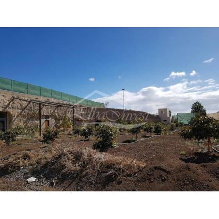 Sprzedaż - Nieruchomości - Domki - Chimiche 1