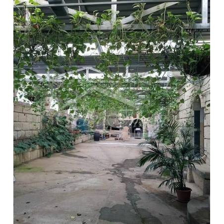 Sprzedaż - Nieruchomości - Domki - Chimiche 1