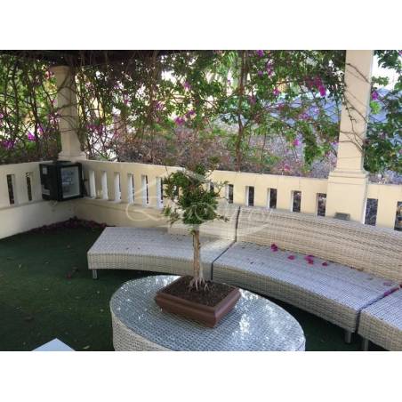 Sprzedaż - Nieruchomości - Domki - Santa Cruz 1